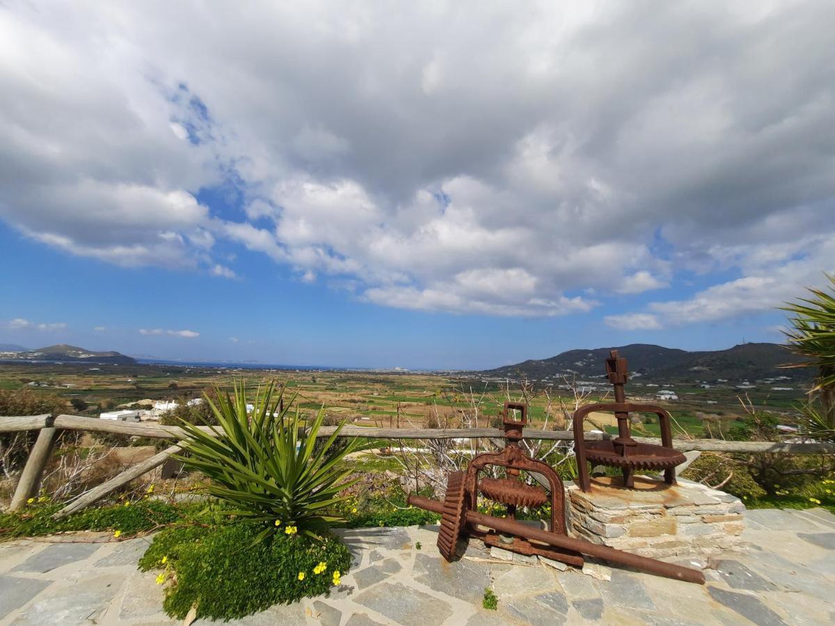 Janakos Luxury Apartment Glinado Naxos 外观 照片
